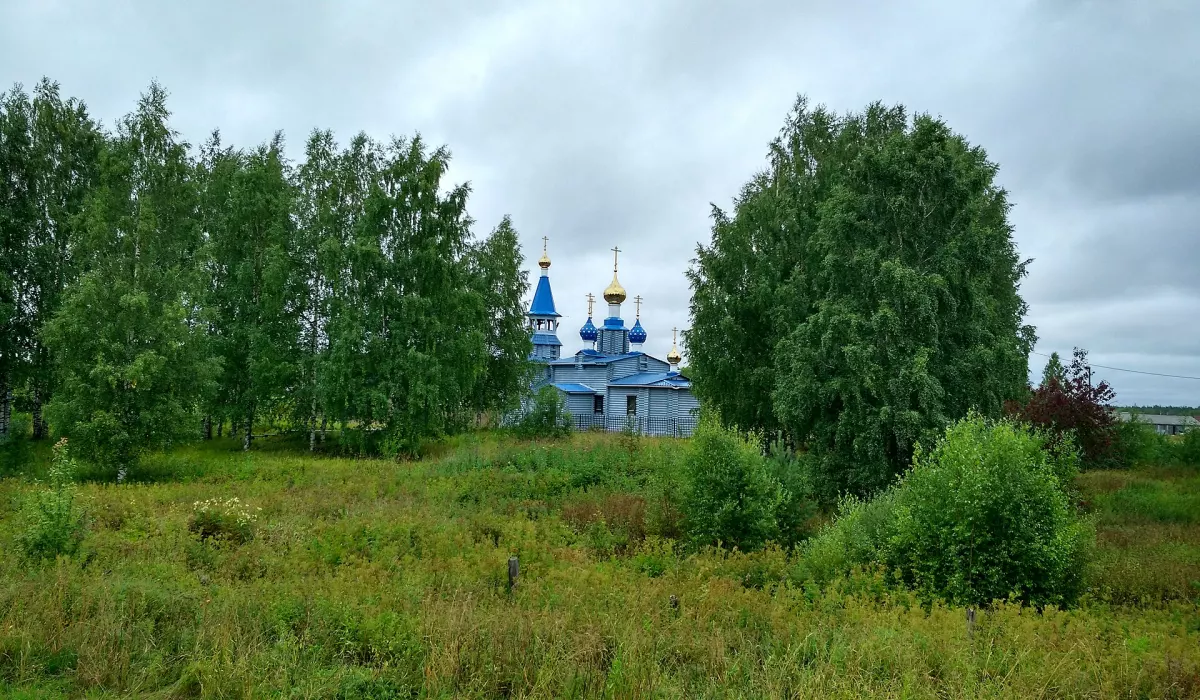 Самодед